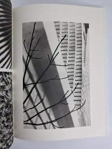 Buch: Ci-Contre - 110 photos de Moi?? Wer, Moshe Raviv-Vorobeichic, Wilde