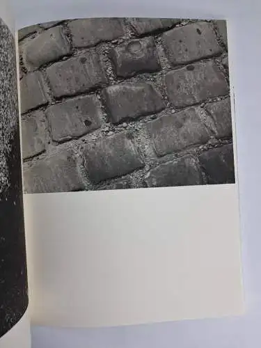 Buch: Ci-Contre - 110 photos de Moi?? Wer, Moshe Raviv-Vorobeichic, Wilde