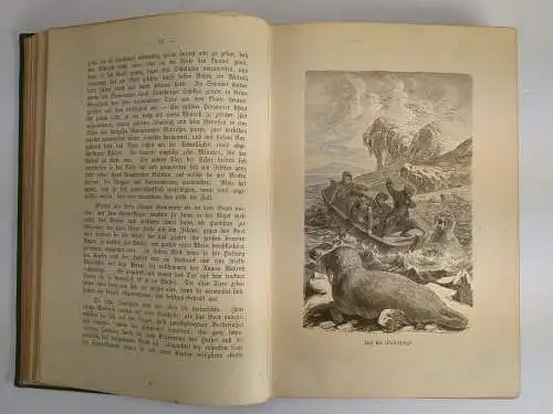 Buch: Der Kampf um den Nordpol, Richard Andree, 1889, Velhagen & Klasing