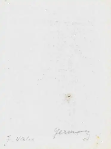 Original Grafik Exlibris: Dr. pharm. Hugo Salasoo, Maiglöckchen, gebraucht, gut