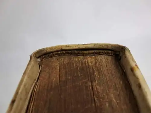 Buch: Grund-Riß der thätlichen Gottes-Gelehrtheit, Friedrich Adolph Lampe, 1728