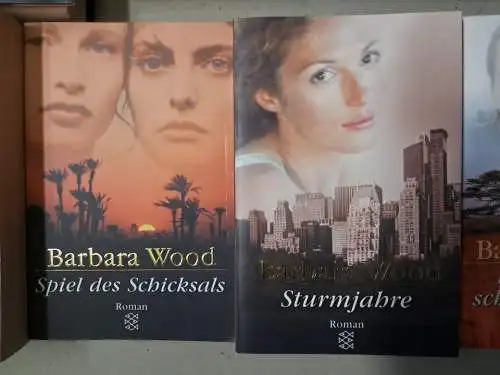 20 Bücher Barbara Wood: Herzflimmern, Sturmjahre, Traumzeit, Nachtzug ...