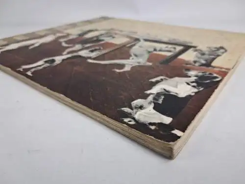 Buch: Fotomontaee Mieczyslawa Bermana, Ignacy Witz, 1964, Artystyczno-Graficzne