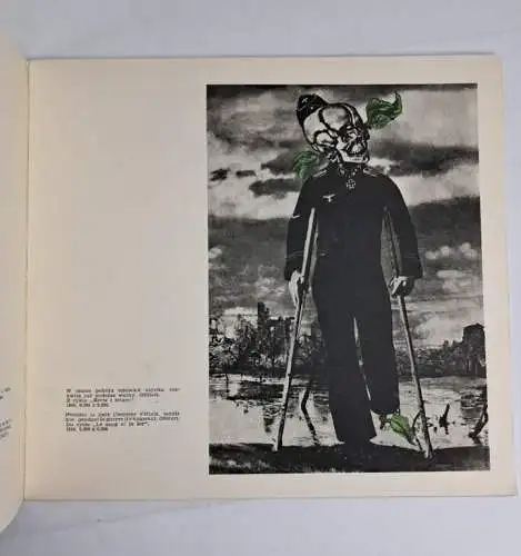 Buch: Fotomontaee Mieczyslawa Bermana, Ignacy Witz, 1964, Artystyczno-Graficzne