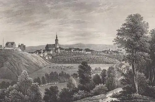 Lithografie: Dohna, um 1836, Eduard Pietzsch & Comp, Grafik, Ansicht, Saxonia