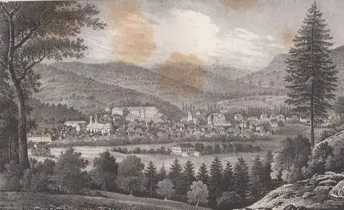 Lithografie: Meiningen, 1836, Eduard Pietzsch & Comp, Ansicht, Grafik, Saxonia