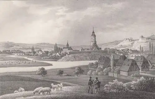 Lithografie: Döbeln, um 1836, Eduard Pietzsch & Comp, Ansicht, Grafik, Saxonia