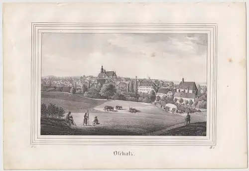 Lithografie: Oschatz, um 1836, Eduard Pietzsch & Comp, Ansicht, Grafik, Saxonia