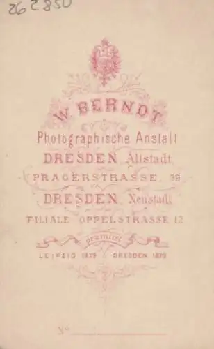 Portrait Frau mit Ohrschmuck und Spitzenkragen, Fotografie. Fotobild, ca. 1879