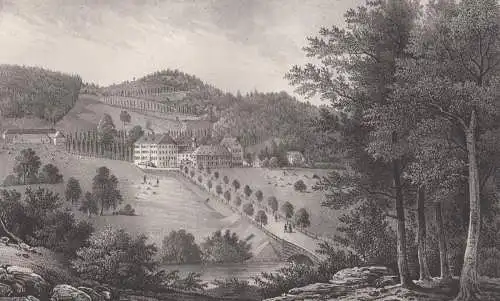 Lithografie: Wiesenland bei Annaberg, um 1836, Eduard Pietzsch & Comp, Grafik