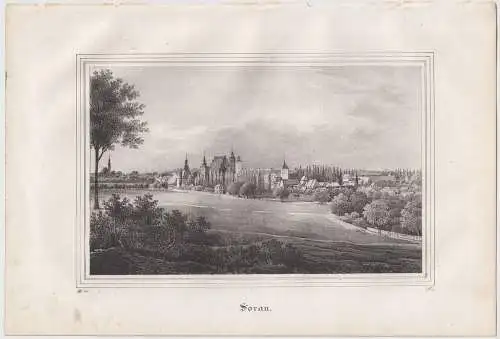 Lithografie: Sorau, um 1836, Eduard Pietzsch & Comp, Saxonia, Grafik, Ansicht