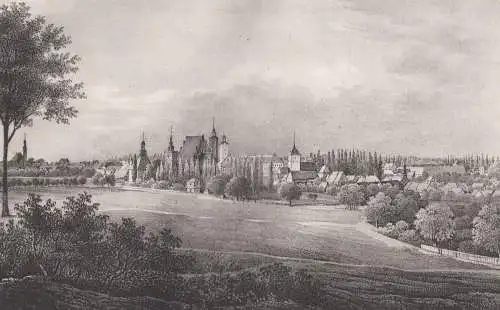 Lithografie: Sorau, um 1836, Eduard Pietzsch & Comp, Saxonia, Grafik, Ansicht