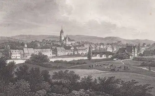 Lithografie: Rosswein, um 1836, Eduard Pietzsch & Comp, Ansicht, Saxonia, Grafik