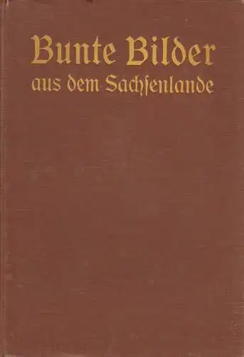 Buch: Bunte Bilder aus dem Sachsenlande, Dritter Band. 1926, gebraucht, gut