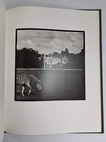 Buch: Tuija Lindström, Johan Ehrenberg, 1989, ETC, Stockholm, Fotografie,