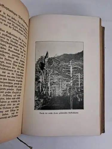 Buch: Deutsch-Ostafrika, Hermann Paasche, 1906, C. A. Schwetschke und Sohn