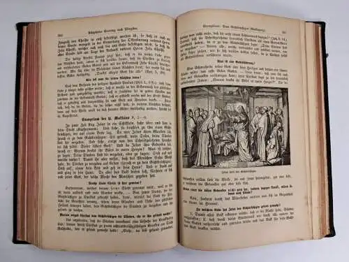 Buch: Christkatholische Handpostille- oder Unterrichts-und Erbauungsbuch, 1896