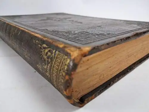 Buch: Christkatholische Handpostille- oder Unterrichts-und Erbauungsbuch, 1896