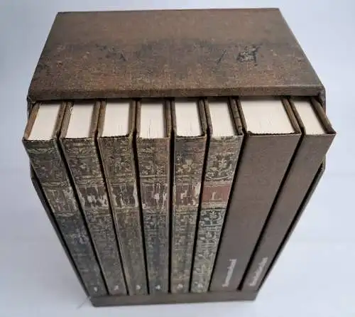 Buch: J. C. Lavaters Fremdenbücher, Rudolf Pestalozzi, P. von Zabern, 8 Bände