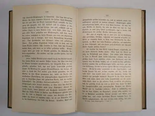 Buch: Leben Michelangelo's, Herman Grimm, 1897, Wilhelm Hertz, 2 Bände