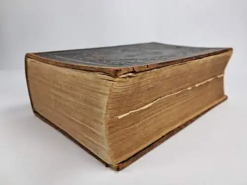 Biblia: Die Bibel, Martin Luther, 1903, Rammingsche Buchdruckerei, gebraucht gut