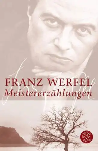 Buch: Meistererzählungen, Werfel, Franz, 2005, Fischer Taschenbuch Verlag