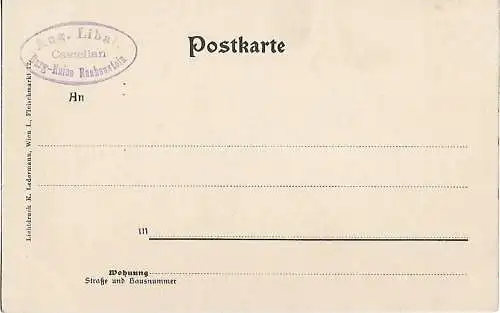 AK Burg Rauhenstein. Ruine Rauhenstein. Baden, N-Oe.. ca. 1913, Postkarte