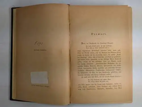 Buch: Die Kunst des Vortrags, Emil Palleske, 1880, Carl Krabbe Verlag