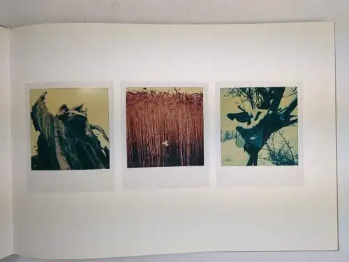 Buch: Arno Fischer - Der Garten / The Garden, 2007, Hatje Cantz Verlag