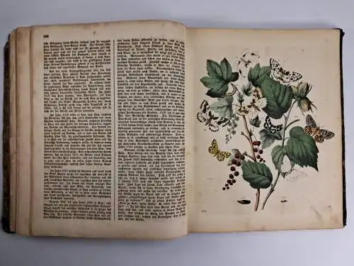 Buch: Das Buch der Welt 1858, Inbegriff des Wissenswürdigsten... Carl Hoffmann