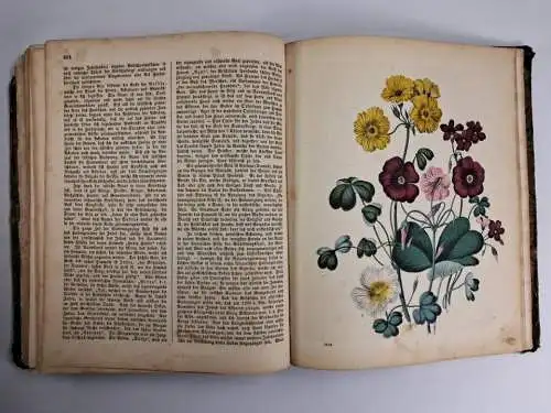 Buch: Das Buch der Welt 1858, Inbegriff des Wissenswürdigsten... Carl Hoffmann