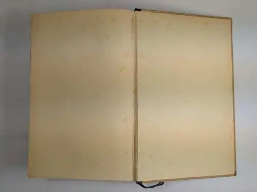 Buch: Vom Geistesleben alter und neuer Zeit, Aufsätze, Oskar Walzel, 1922, Insel