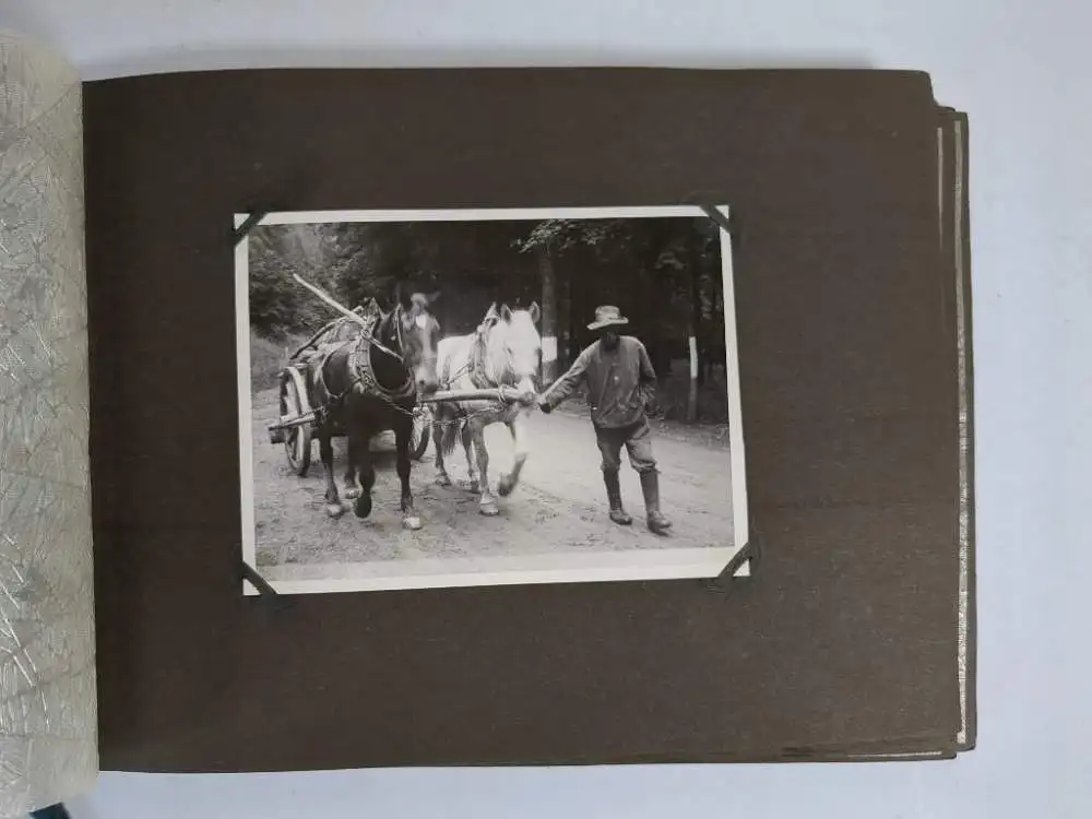 Fotoalbum: Einzigartiges Fotoalbum. Menschen, Natur, Tiere, Fahrrad, Paddeln ... 1