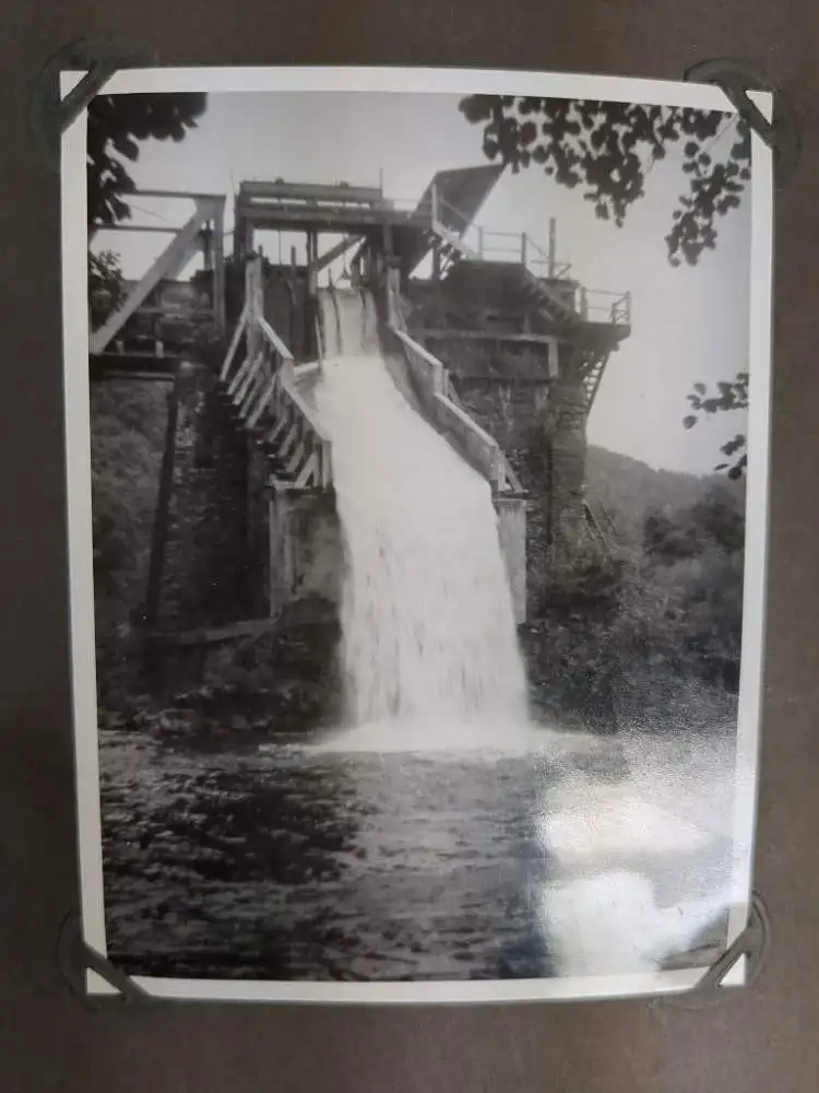 Fotoalbum: Einzigartiges Fotoalbum. Menschen, Natur, Tiere, Fahrrad, Paddeln ... 3