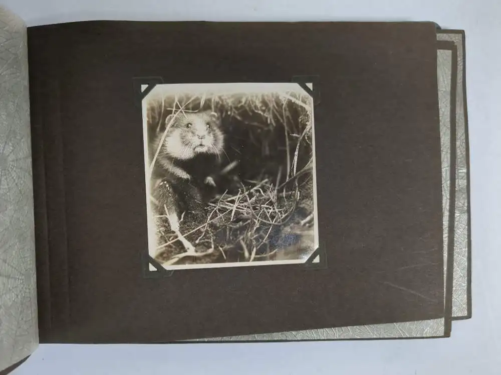 Fotoalbum: Einzigartiges Fotoalbum. Menschen, Natur, Tiere, Fahrrad, Paddeln ... 5