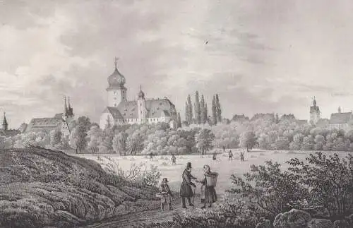 Lithografie: Delitzsch, 1836, Eduard Pietzsch & Comp, Ansicht, Saxonia, Grafik