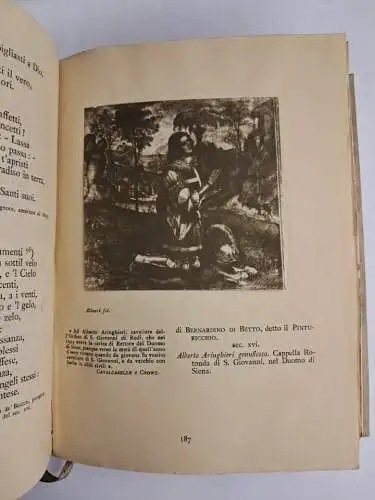 Buch: Lirica Italiana nel Cinquecento e nel Seicento fino all'Arcadia, E. Levi