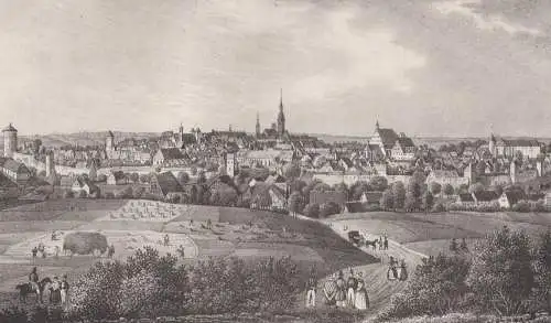 Lithografie: Freyberg, um 1836, Eduard Pietzsch & Comp, Ansicht, Grafik, Saxonia
