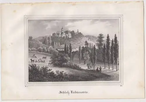 Lithografie: Schloss Lichtenstein, 1836, Eduard Pietzsch & Comp, Saxonia, Grafik