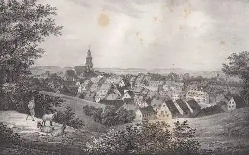 Lithografie: Hainichen, 1836, Eduard Pietzsch & Comp, Ansicht, Grafik, Saxonia