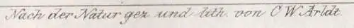 Lithografie: Der Brand, 1836, Eduard Pietzsch & Comp, Ansicht, Saxonia, Grafik