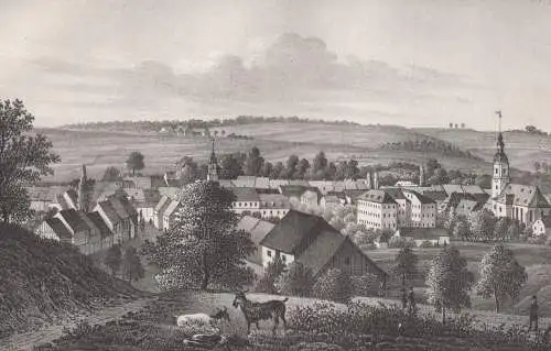 Lithografie: Werdau, um 1836, Eduard Pietzsch & Comp, Ansicht, Saxonia, Grafik
