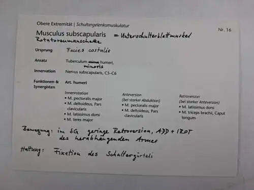 Box: Muskelkarten - Erfassen | Verstehen | Anwenden, Valerius & Kreutzer, KVM