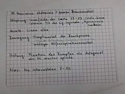 Box: Muskelkarten - Erfassen | Verstehen | Anwenden, Valerius & Kreutzer, KVM