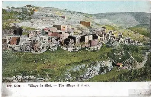 AK Dorf Siloa. ca. 1911, Postkarte. Serien Nr, ca. 1911, gebraucht, gut