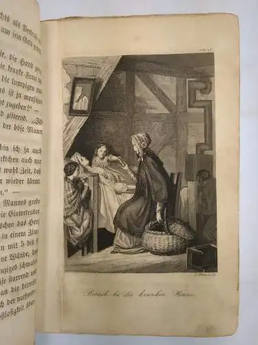 Buch: Das Christfest in der Familie Frommhold, R Baron, 1854, Trewendt & Grainer