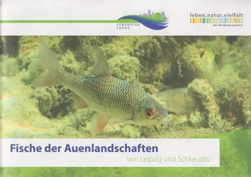 Buch: Fische der Auenlandschaften von Leipzig bis Schkeuditz, NABU, 2019