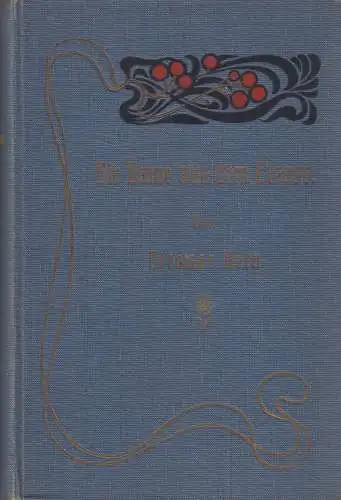 Buch: Die Dame aus dem Elsaß, Roman, Ottomar Beta, 1901, Verlag Otto Janke