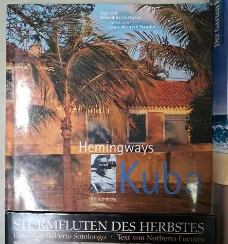 13 Bücher Ernest Hemingway: Fiesta, 49 Stories, In Kuba, Wie es war ...