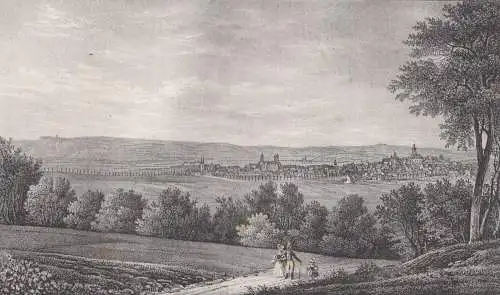 Lithografie: Naumburg, 1836, Eduard Pietzsch & Comp, Ansicht, Grafik, Saxonia
